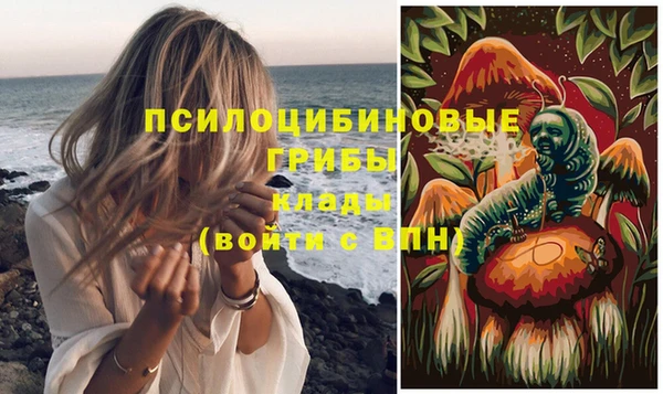 марки nbome Богородицк